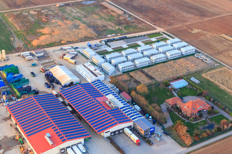 Culture de légumes - Dieter Stubenbordt à Zeiskam dans le département Rhénanie-Palatinat, Allemagne d'en haut