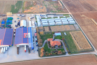 Culture de légumes - Dieter Stubenbordt à Zeiskam dans le département Rhénanie-Palatinat, Allemagne hors des airs