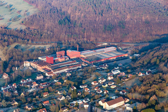 Vue aérienne de Locaux d'usine de la fonderie FONDERIE DE NIEDERBRONN à Niederbronn-les-Bains dans le département Bas Rhin, France