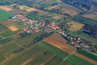 Vue aérienne de Vue d'ensemble du village depuis l'est à Hergersweiler dans le département Rhénanie-Palatinat, Allemagne