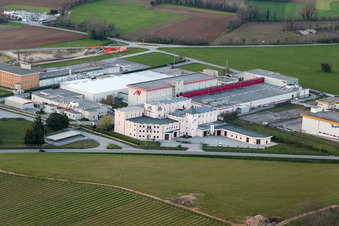Photographie aérienne de Entrepôts pour la maturation des jambons dans la zone industrielle de Prosciuttificio Friulano et Leoncini Prosciutti à San Daniele del Friuli dans le département Udine, Italie