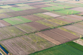 Vue aérienne de California dans le département Frioul-Vénétie Julienne, Italie