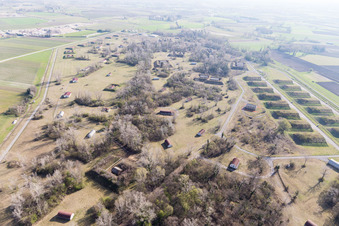 Photographie aérienne de San Lorenzo dans le département Frioul-Vénétie Julienne, Italie