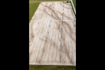 Vue oblique de Rauscedo-Domanins dans le département Frioul-Vénétie Julienne, Italie