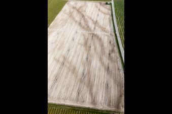 Rauscedo-Domanins dans le département Frioul-Vénétie Julienne, Italie d'en haut