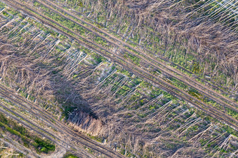 Vue aérienne de Via Nazionale dans le département Frioul-Vénétie Julienne, Italie