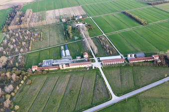 Vue oblique de Palazzolo dello Stella dans le département Frioul-Vénétie Julienne, Italie