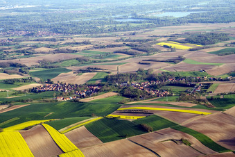 Vue aérienne de Scheibenhardt à Scheibenhard dans le département Bas Rhin, France