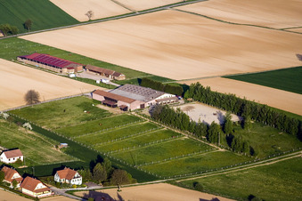 Vue aérienne de Ranch à Seebach dans le département Bas Rhin, France