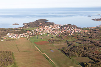 Fuškulin