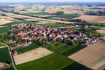 Vue aérienne de Champs agricoles et terres agricoles à Hoffen dans le département Bas Rhin, France