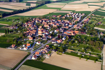Vue oblique de Champs agricoles et terres agricoles à Hoffen dans le département Bas Rhin, France