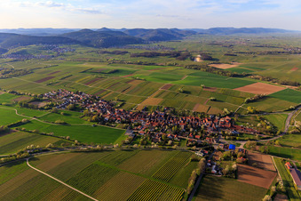 Vue aérienne de Vue d'ensemble du village depuis le sud-est au printemps à Niederhorbach dans le département Rhénanie-Palatinat, Allemagne