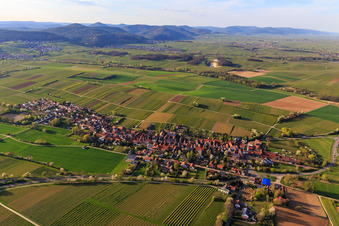 Vue aérienne de Vue d'ensemble du village depuis le sud-est au printemps à Niederhorbach dans le département Rhénanie-Palatinat, Allemagne
