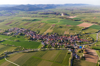 Vue aérienne de Niederhorbach dans le département Rhénanie-Palatinat, Allemagne