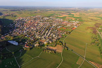 Vue aérienne de Vue de la ville au printemps depuis l'ouest à Bad Bergzabern dans le département Rhénanie-Palatinat, Allemagne