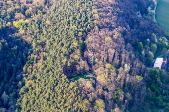 Vue oblique de Tour Bismarck à Bad Bergzabern dans le département Rhénanie-Palatinat, Allemagne