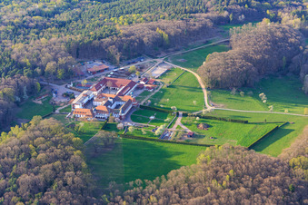 Vue aérienne de Pension pour chevaux au monastère de Liebfrauenberg au printemps à Bad Bergzabern dans le département Rhénanie-Palatinat, Allemagne