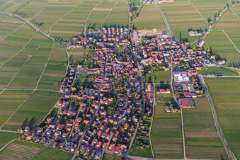 Vue aérienne de Vue du village viticole au printemps depuis l'ouest à Hainfeld dans le département Rhénanie-Palatinat, Allemagne