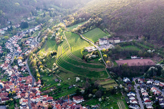 Vue aérienne de Saint-Martin, château de Kropsburg à le quartier SaintMartin in Sankt Martin dans le département Rhénanie-Palatinat, Allemagne