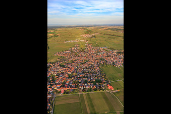 Vue aérienne de Vue de la ville au printemps depuis l'ouest à Maikammer dans le département Rhénanie-Palatinat, Allemagne