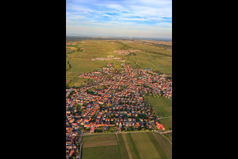 Vue aérienne de Vue de la ville au printemps depuis l'ouest à Maikammer dans le département Rhénanie-Palatinat, Allemagne