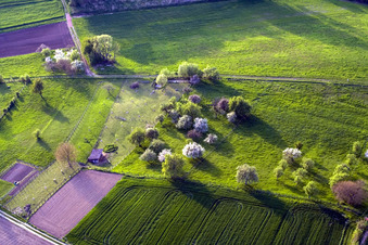 Photographie aérienne de Surbourg dans le département Bas Rhin, France