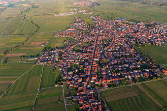 Vue aérienne de Vue d'ensemble de la ville au printemps depuis l'ouest à Maikammer dans le département Rhénanie-Palatinat, Allemagne