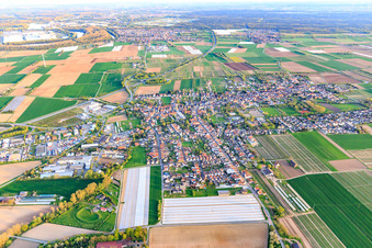 Vue aérienne de Vue d'ensemble de la ville au printemps depuis l'ouest à Schwegenheim dans le département Rhénanie-Palatinat, Allemagne