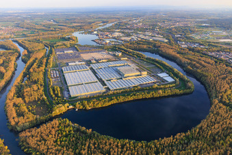 Vue aérienne de Île verte dans le Lingenfeld Altrhein avec le centre logistique mondial Mercedes-Benz et MOSOLF Logistics & Services GmbH à Germersheim dans le département Rhénanie-Palatinat, Allemagne