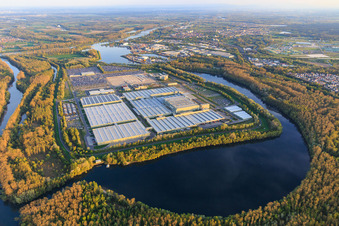 Photographie aérienne de Île verte dans le Lingenfeld Altrhein avec le centre logistique mondial Mercedes-Benz et MOSOLF Logistics & Services GmbH à Germersheim dans le département Rhénanie-Palatinat, Allemagne