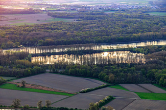Vue aérienne de Plaines du Rhin, de Karlsruhe à Philippsburg à Linkenheim-Hochstetten dans le département Bade-Wurtemberg, Allemagne