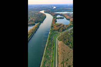 Vue aérienne de Vallée du Rhin Karlsruhe – Rheinsheim à Linkenheim-Hochstetten dans le département Bade-Wurtemberg, Allemagne