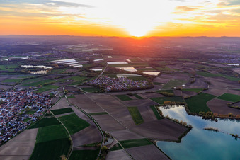 Vue aérienne de Coucher de soleil dans la plaine du Rhin à le quartier Hardtwald in Neupotz dans le département Rhénanie-Palatinat, Allemagne