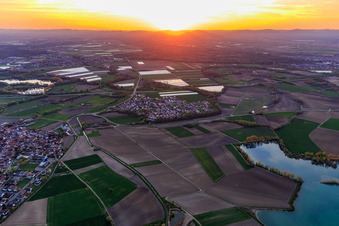Vue aérienne de Coucher de soleil dans la plaine du Rhin à le quartier Hardtwald in Neupotz dans le département Rhénanie-Palatinat, Allemagne