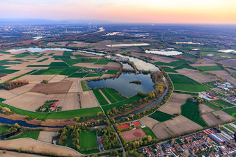 Vue aérienne de Du nord à Neupotz dans le département Rhénanie-Palatinat, Allemagne