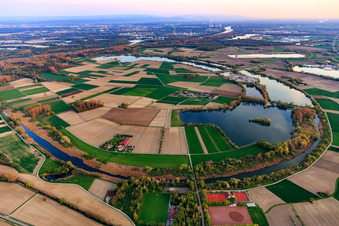 Vue aérienne de Du nord à Neupotz dans le département Rhénanie-Palatinat, Allemagne
