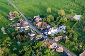 Vue aérienne de Champs agricoles et terres agricoles à Durrenbach dans le département Bas Rhin, France
