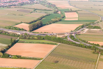 Quartier Dammheim in Landau in der Pfalz dans le département Rhénanie-Palatinat, Allemagne d'en haut