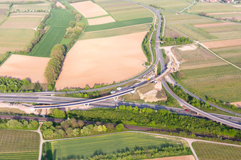 Quartier Dammheim in Landau in der Pfalz dans le département Rhénanie-Palatinat, Allemagne depuis l'avion