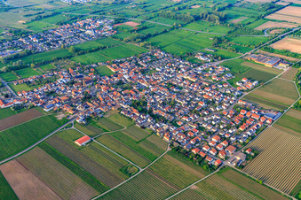 Vue aérienne de Vue de la ville depuis le sud-ouest à Ruppertsberg dans le département Rhénanie-Palatinat, Allemagne