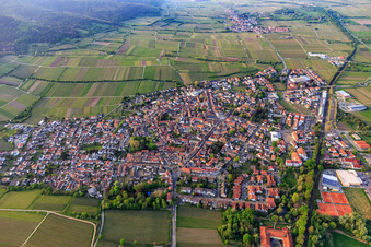 Vue aérienne de Vue de la ville au printemps depuis le sud à Deidesheim dans le département Rhénanie-Palatinat, Allemagne