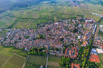 Vue aérienne de Vue de la ville au printemps depuis le sud à Deidesheim dans le département Rhénanie-Palatinat, Allemagne