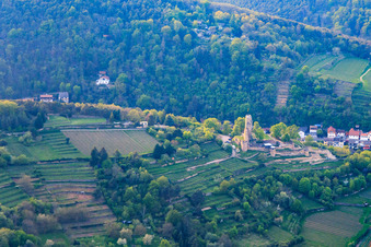 Vue aérienne de Wachtenburg (ruines du château de Wachenheim) entouré de rangées de vignes du sud-ouest à Wachenheim an der Weinstraße dans le département Rhénanie-Palatinat, Allemagne