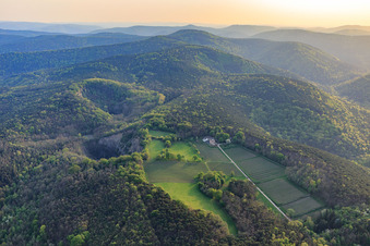 Vue aérienne de Domaine viticole d'Odinstal dans une clairière sur les hauteurs de la forêt du Palatinat à Wachenheim an der Weinstraße dans le département Rhénanie-Palatinat, Allemagne