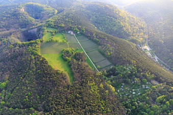 Vue oblique de Domaine viticole d'Odinstal dans une clairière sur les hauteurs de la forêt du Palatinat à Wachenheim an der Weinstraße dans le département Rhénanie-Palatinat, Allemagne