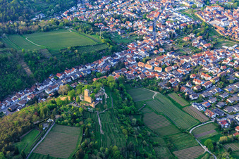 Vue aérienne de Vue de la ville depuis le sud-est avec Wachtenburg (ruine du château de Wachenheim) entouré de rangées de vignes à Wachenheim an der Weinstraße dans le département Rhénanie-Palatinat, Allemagne
