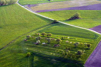 Photographie aérienne de Durrenbach dans le département Bas Rhin, France