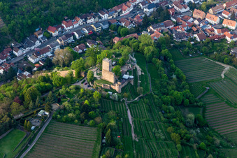 Vue aérienne de Ancien château de Wachtenburg (ruines du château de Wachenheim) à Wachenheim an der Weinstraße dans le département Rhénanie-Palatinat, Allemagne