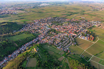 Photographie aérienne de Vue de la ville depuis le sud-est avec Wachtenburg (ruine du château de Wachenheim) entouré de rangées de vignes à Wachenheim an der Weinstraße dans le département Rhénanie-Palatinat, Allemagne